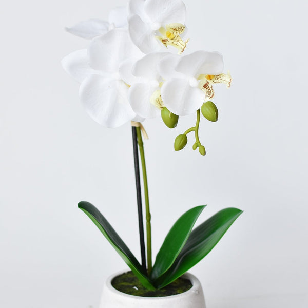 14" Faux Potted Orchid White