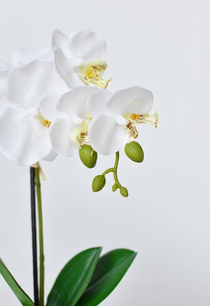 14" Faux Potted Orchid White
