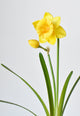 Artificial Flora