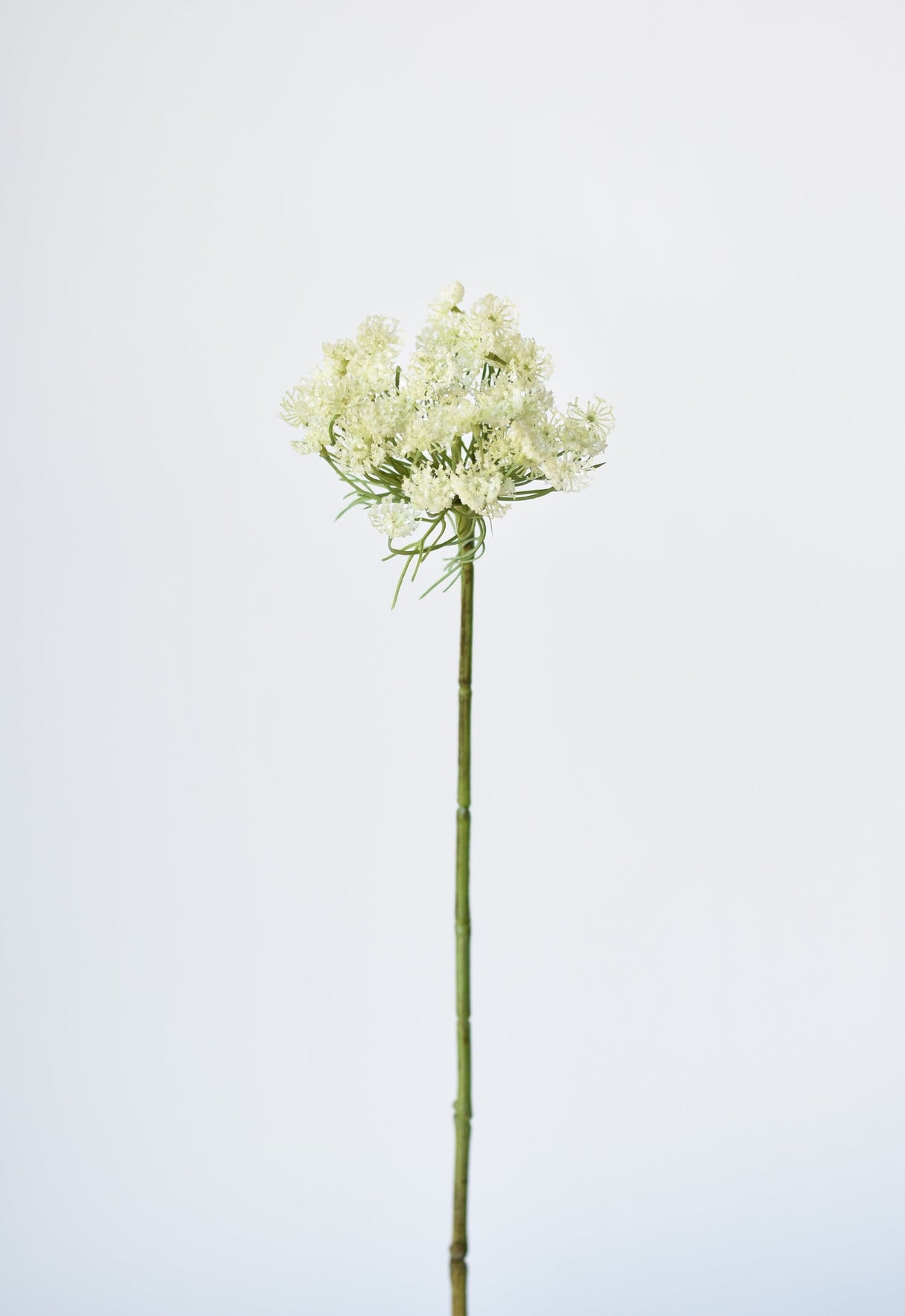 23" Faux White Queen Anne's Lace Stem
