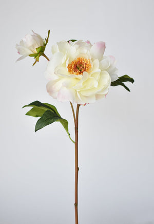 22.5" Faux Peony Stem w/Bud Cream White/Soft Pink