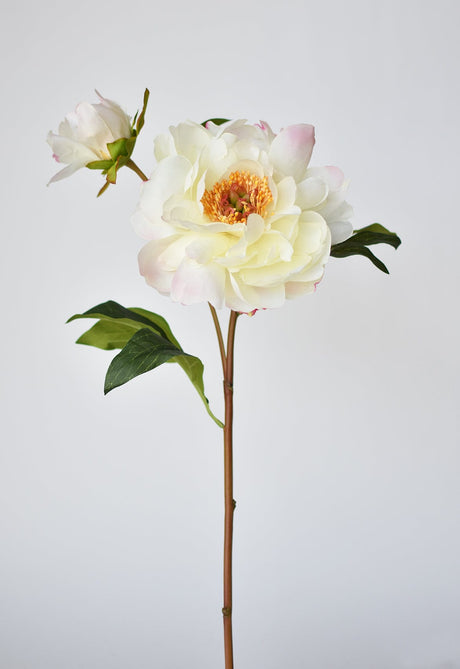 22.5" Faux Peony Stem w/Bud Cream White/Soft Pink