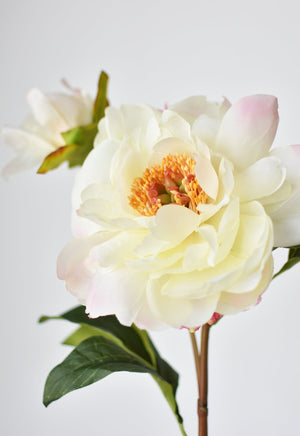 22.5" Faux Peony Stem w/Bud Cream White/Soft Pink