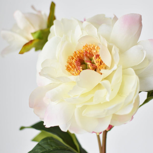 22.5" Faux Peony Stem w/Bud Cream White/Soft Pink