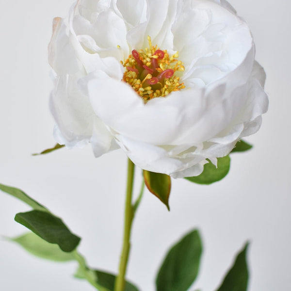 22" Faux White Peony Stem