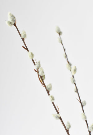 31" Faux Pussy Willow Stem