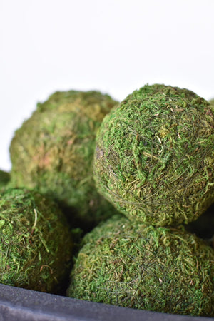 4" Moss Balls (set of 6)