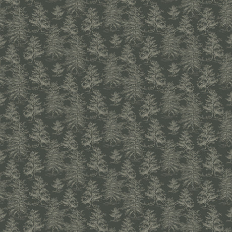 Dakota Wallpaper by Aubrey Fairchild