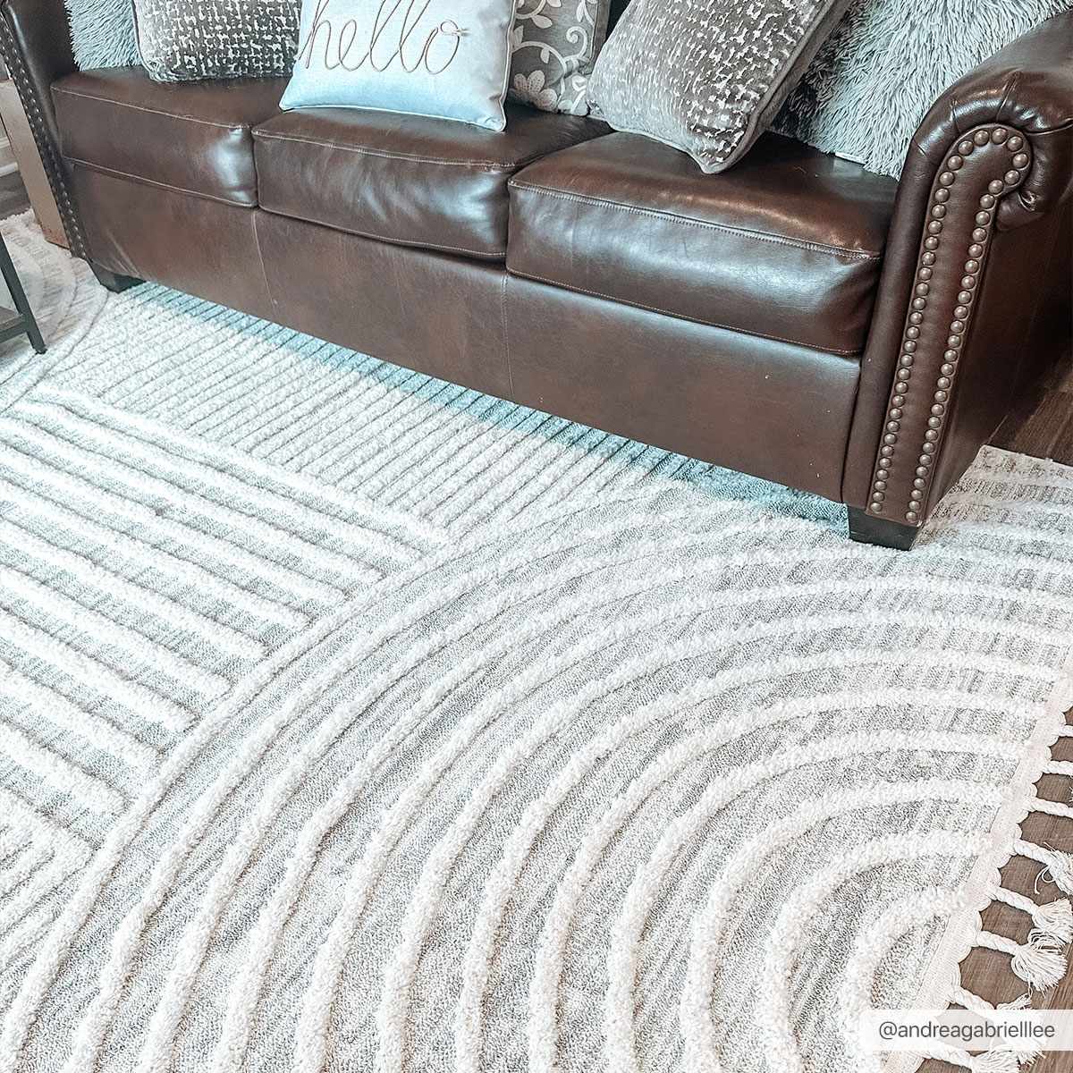 Dauin 3D Rainbow Area Rug with Tassels