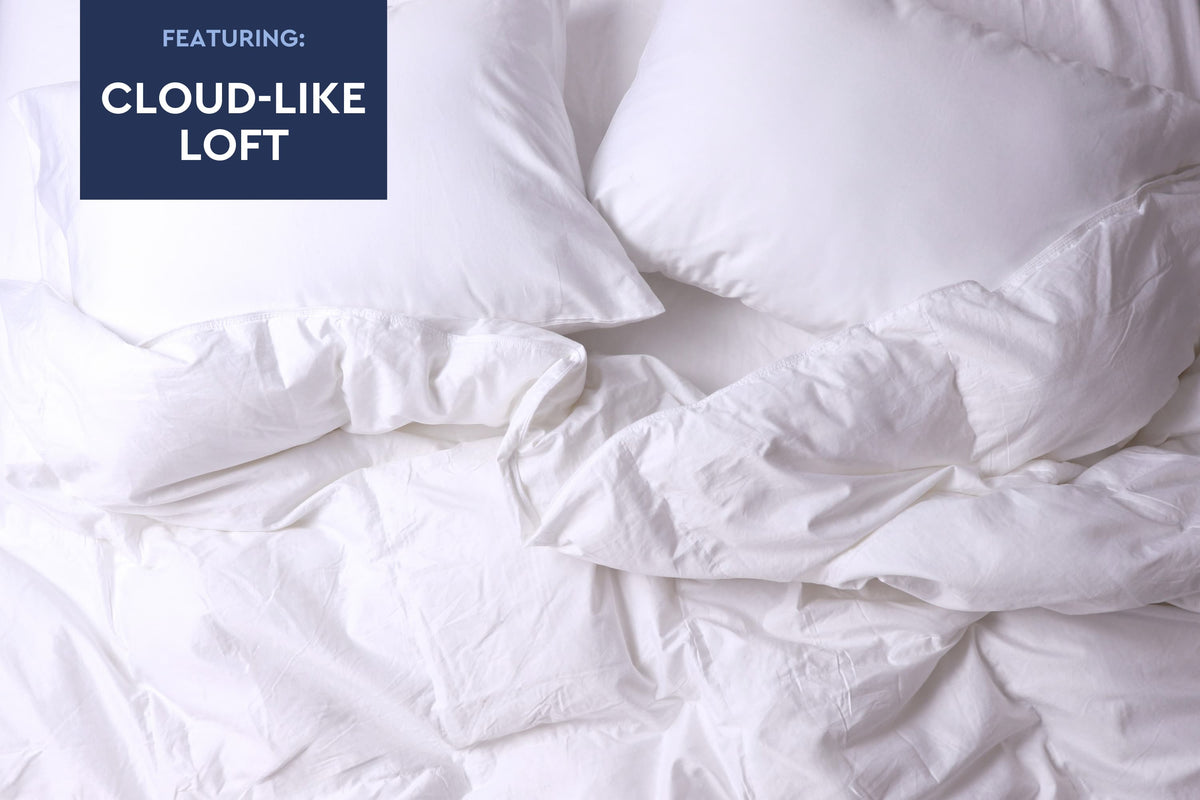 Cloud Fill Down Duvet Insert