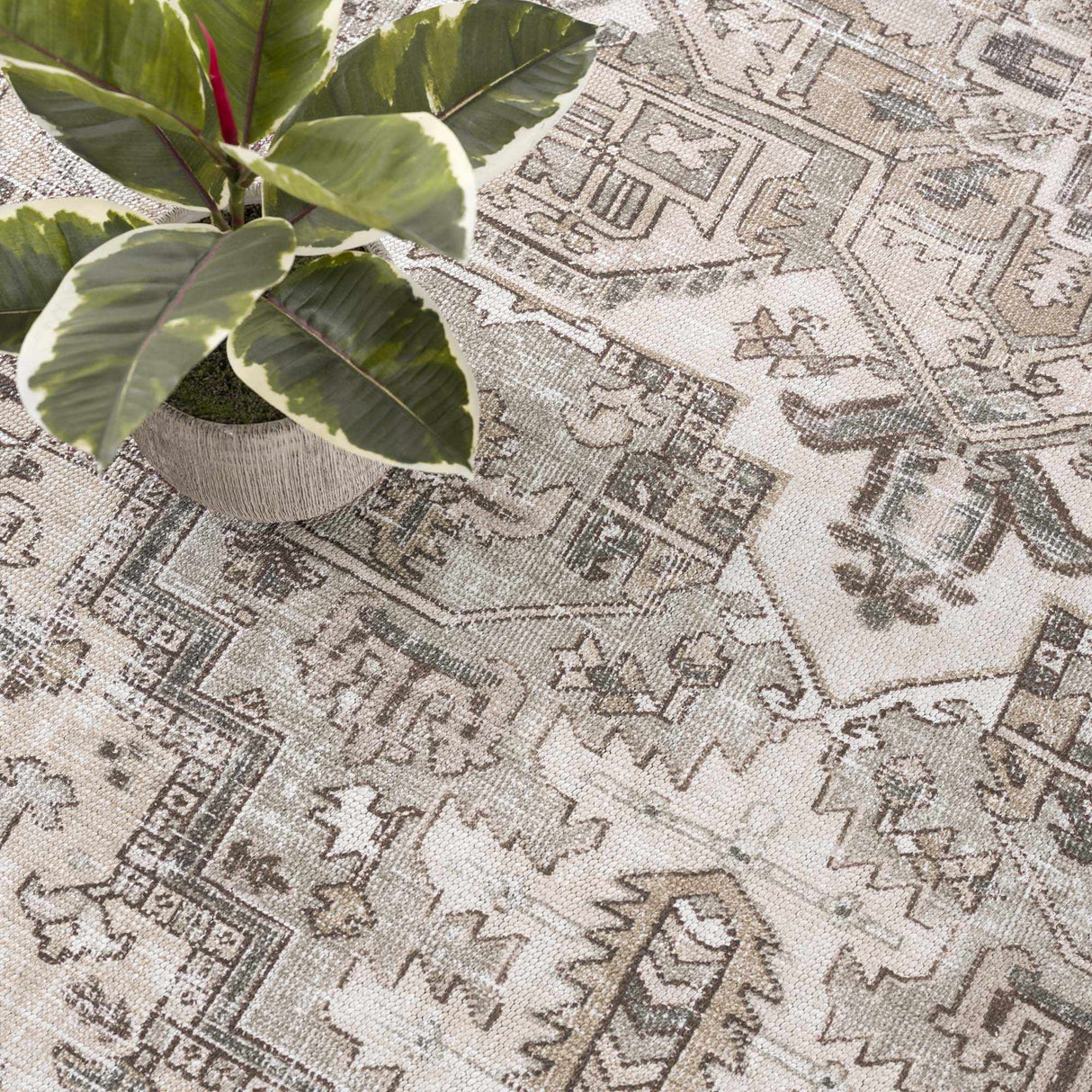 Nadia Area Rug