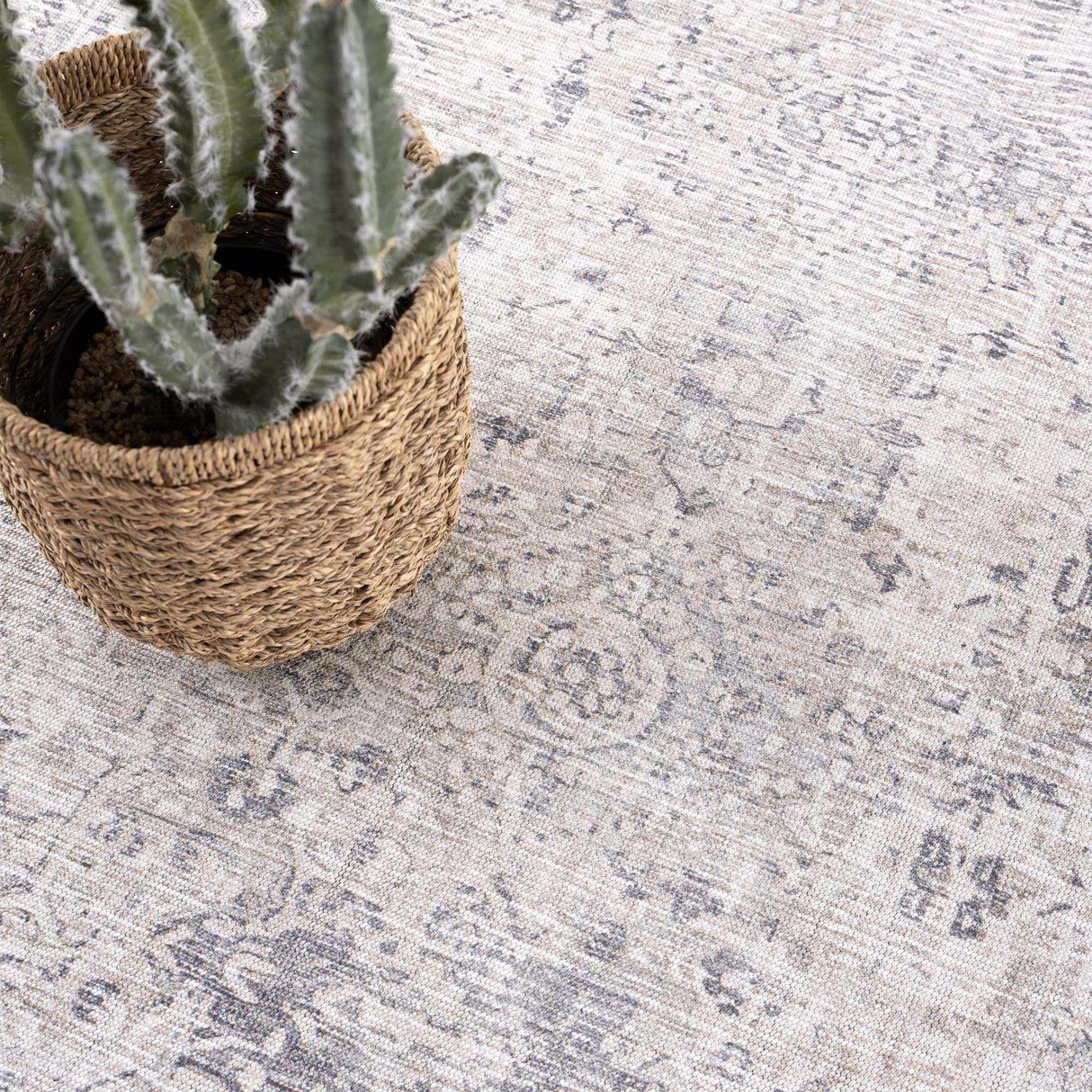 Nyako Area Rug