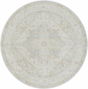 Engin Area Rug