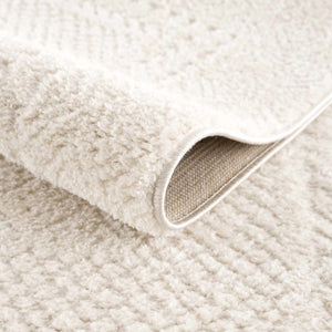 Julio Ivory Area Rug