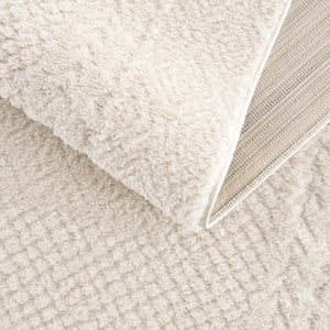 Julio Ivory Area Rug