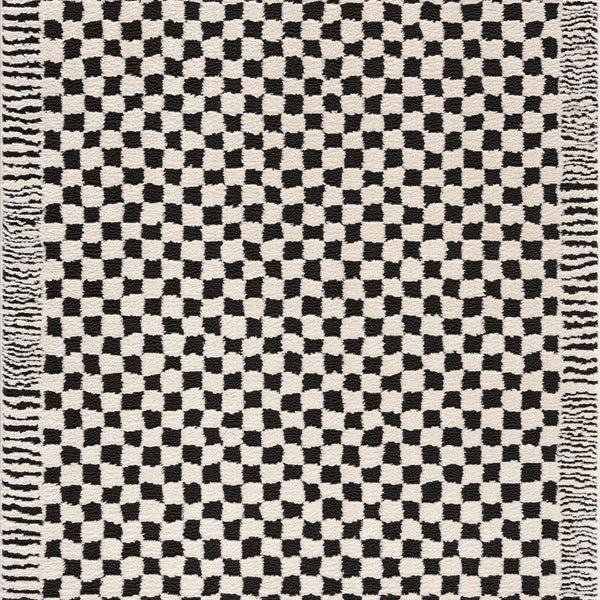 Leryn Black & White Checkered Area Rug