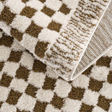 Leryn Brown Checkered Plush Rug