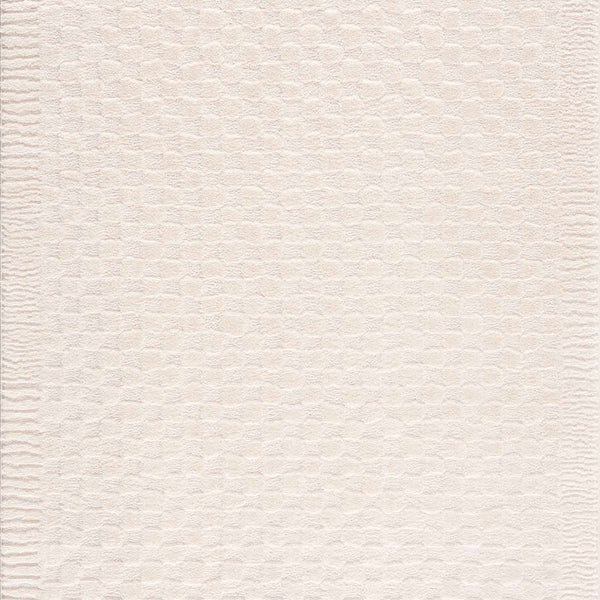 Leryn Ivory Checkered Area Rug