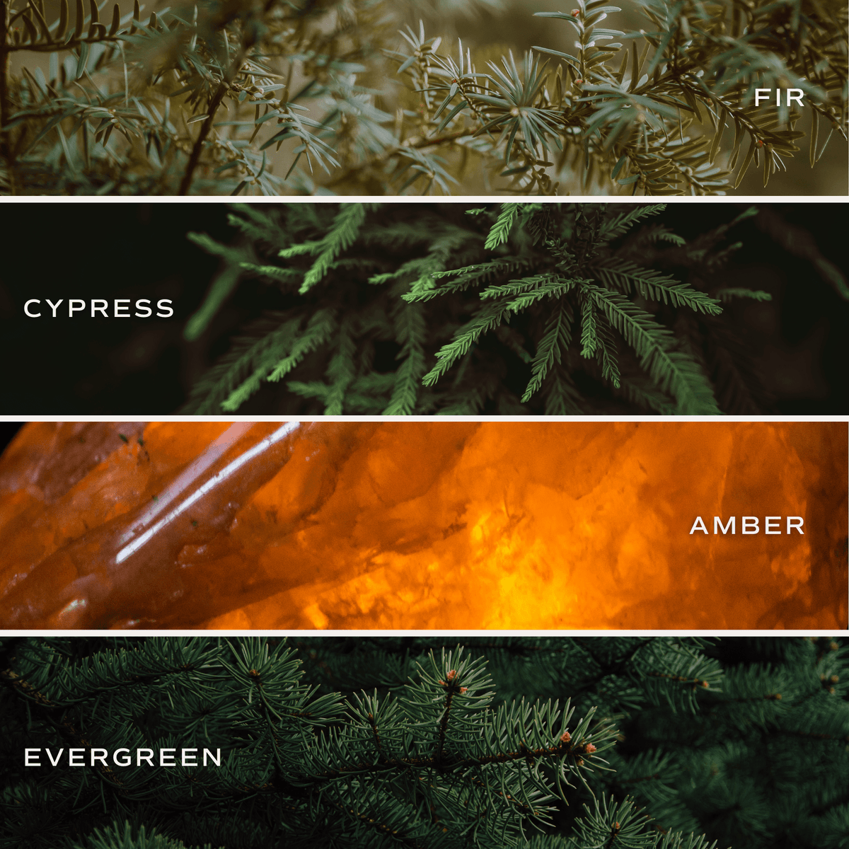 Sweet Water Decor Fraser Fir Soy Candle - view 3