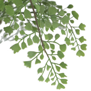 Faux Maidenhair Fern
