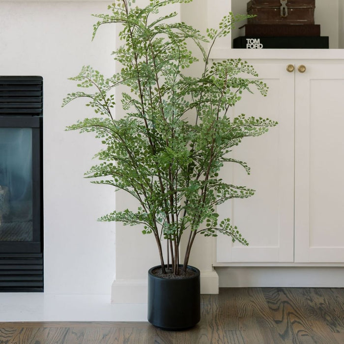Faux Maidenhair Fern