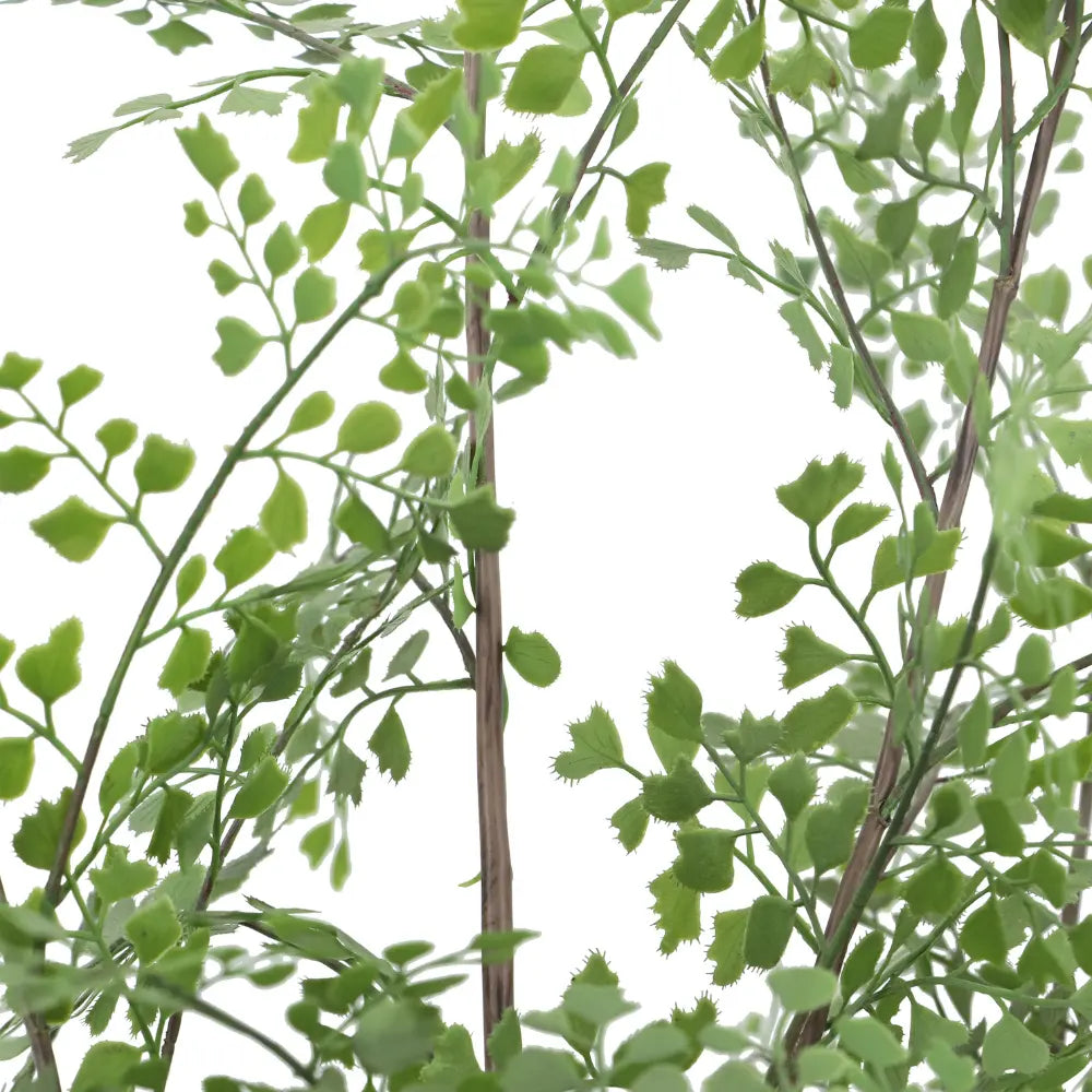 Faux Maidenhair Fern
