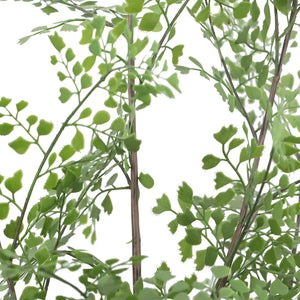 Faux Maidenhair Fern