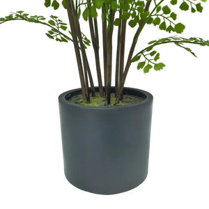 Faux Maidenhair Fern