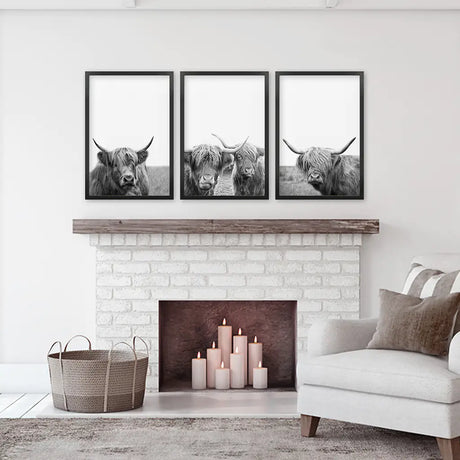Black White Highland Cow Photo. 3 Piece Wall Art