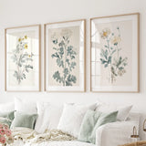 Meadow Flower Watercolor Wall Art Poster Set
