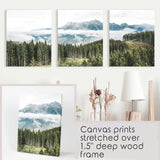 Green Pine Tree Forest. Blue Foggy Mountains. Set of 3 Prints