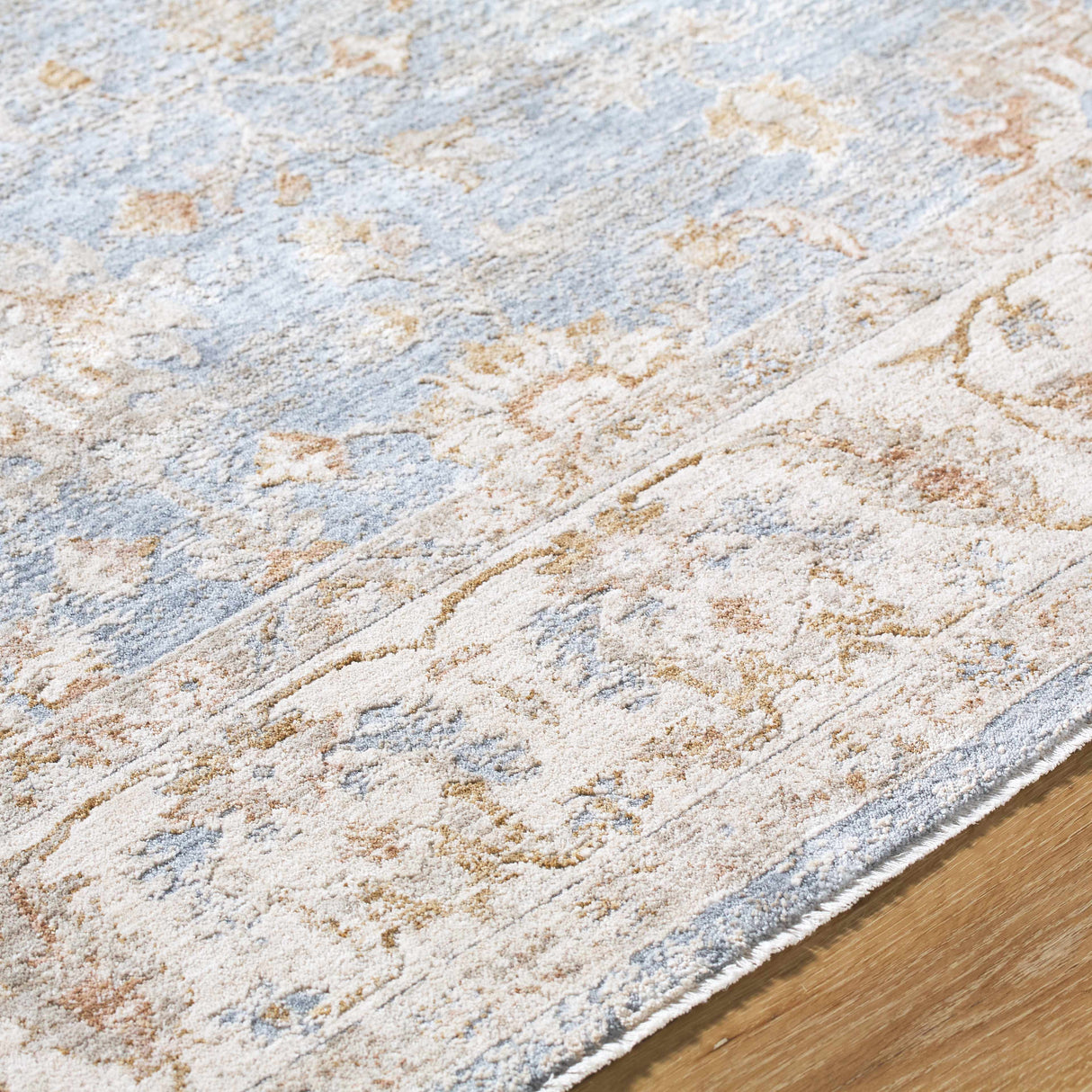 Avivit Sage Area Rug