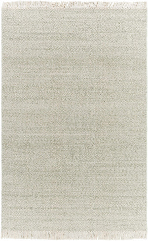 Sorell Sage Textured Weave Cottage Farmhouse Wool Handmade Area Rug - Clearance