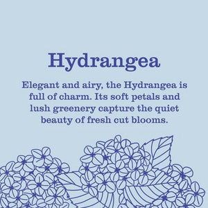 Mrs. Meyer's Clean Day Liquid Hand Soap Hydrangea 12.5 fl oz - New