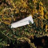 Well People Bio Correct Concealer 7C 0.3oz - New