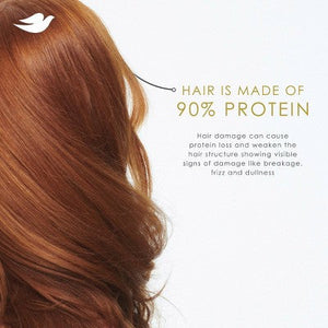 Dove Beauty Daily Moisture Hair Shampoo with Hyaluronic Serum & Bio-Protein Care 28 fl oz - Imperfect Container