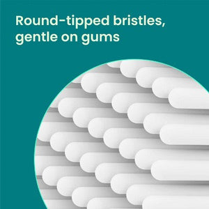 quip Rev Oscillating Brush Head Refill White 2pk - Imperfect Box