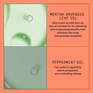 Nioxin System 4 Therapy Conditioner 10.1 fl oz - Imperfect Container