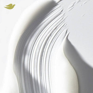 Dove Beauty Intensive Repair Hair Conditioner Pump with Amino Serum & Bio-Protein Care 28 fl oz - New