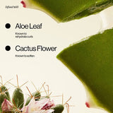 Eva NYC Gotta Bounce Curl Defining Cream 5.4 fl oz - New