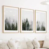 Pine Tree Foggy Forest Triptych. Nordic Wall Decor