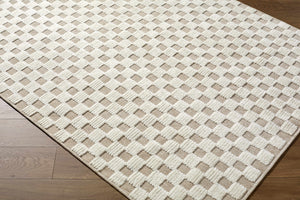 Anthea Light Gray Washable Area Rug