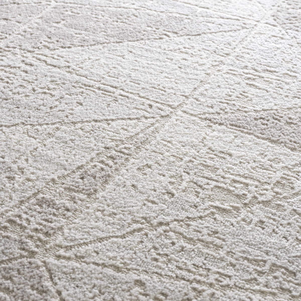 Boutique Rugs Basia Area Rug - view 15
