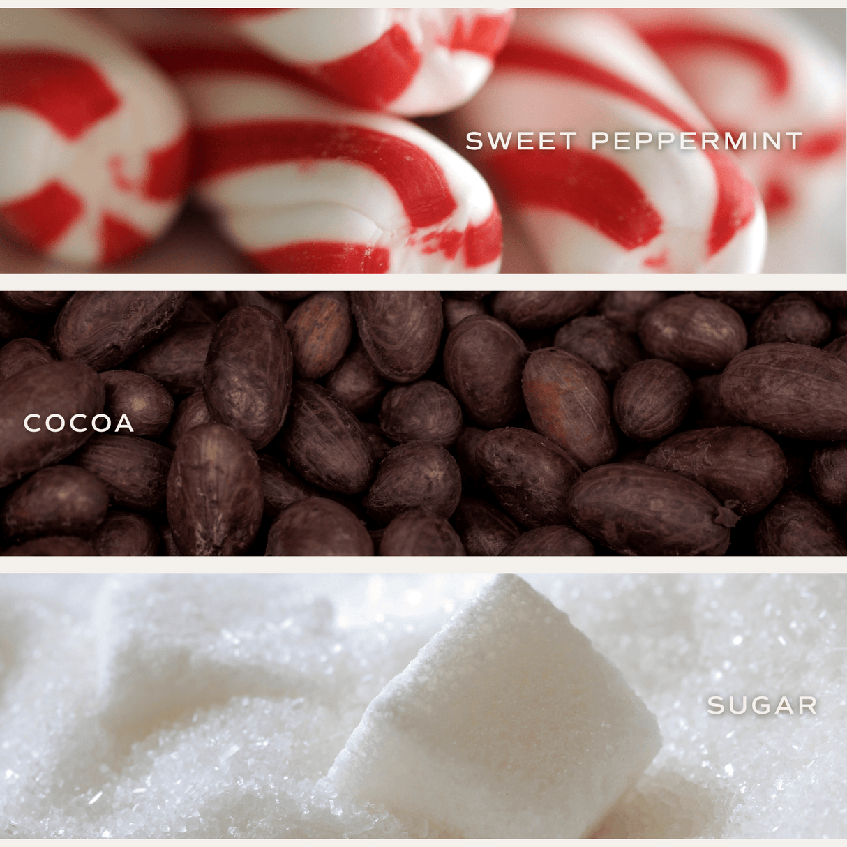 Candy Cane and Cocoa Soy Candle - Red Matte Jar - 15 oz (Hot Cocoa and Peppermint)