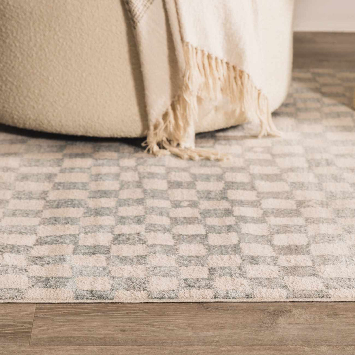 Boutique Rugs Benjy Cream & Light Blue Checkered Area Rug - view 16