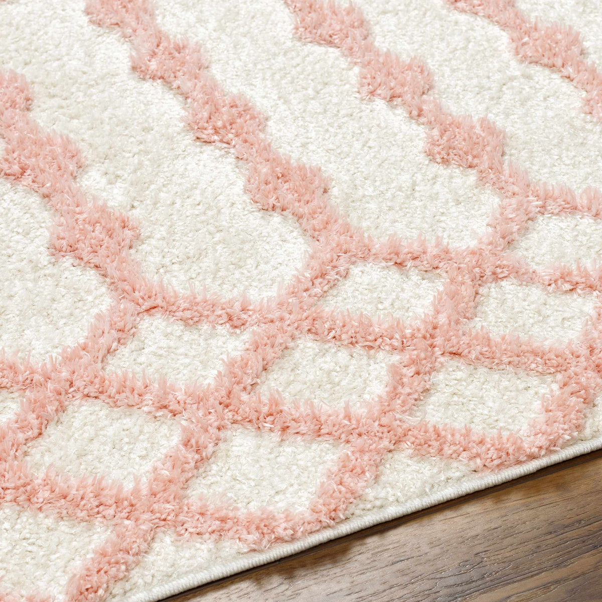 Boutique Rugs Darva Pink Plush Area Carpet - view 23