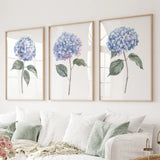 Light Blue Hydrangea Flower Wall Art Poster Set