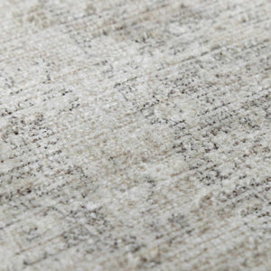 Livabliss x Galey Alix Maria Elena V Vintage Medallion Area Rug