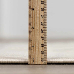 Lascassas Neutral Area Rug