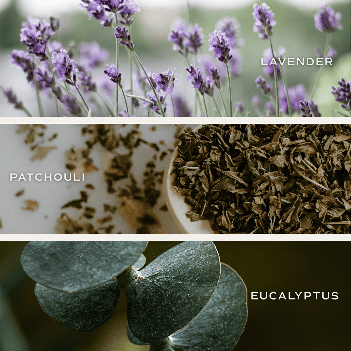 Self Care Soy Candle - Clear Jar - 9 oz (Lavender and Eucalyptus, Calm and Comfort)